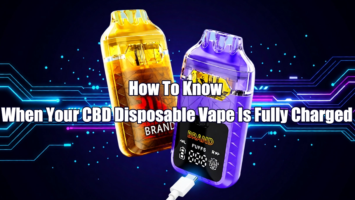 How To Know When Your CBD Disposable Vape Is Fully Charged