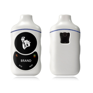 Dual Flavor 1g Empty Disposable Vape Pod All in One Vape Pen with Display Screen