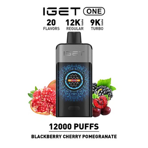 The Ultimate Disposable Vape IGET ONE 12000 Puffs