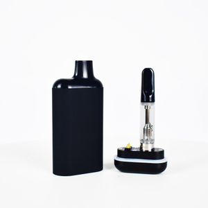 Custom Hidden Cart 510 Thread Battery Vape Cartridge Adjustable Voltage Box Battery Preheat 550 mAh USB-C Rechargeable