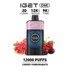 The Ultimate Disposable Vape IGET ONE 12000 Puffs