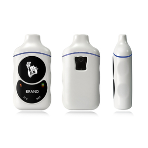 Best Seller Postless 2ml Type C Charger 1.4ohm 300mAh Preheating 2.4-2.6-2.8V Voltage Adjustable Disposable Box Vape