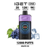 The Ultimate Disposable Vape IGET ONE 12000 Puffs